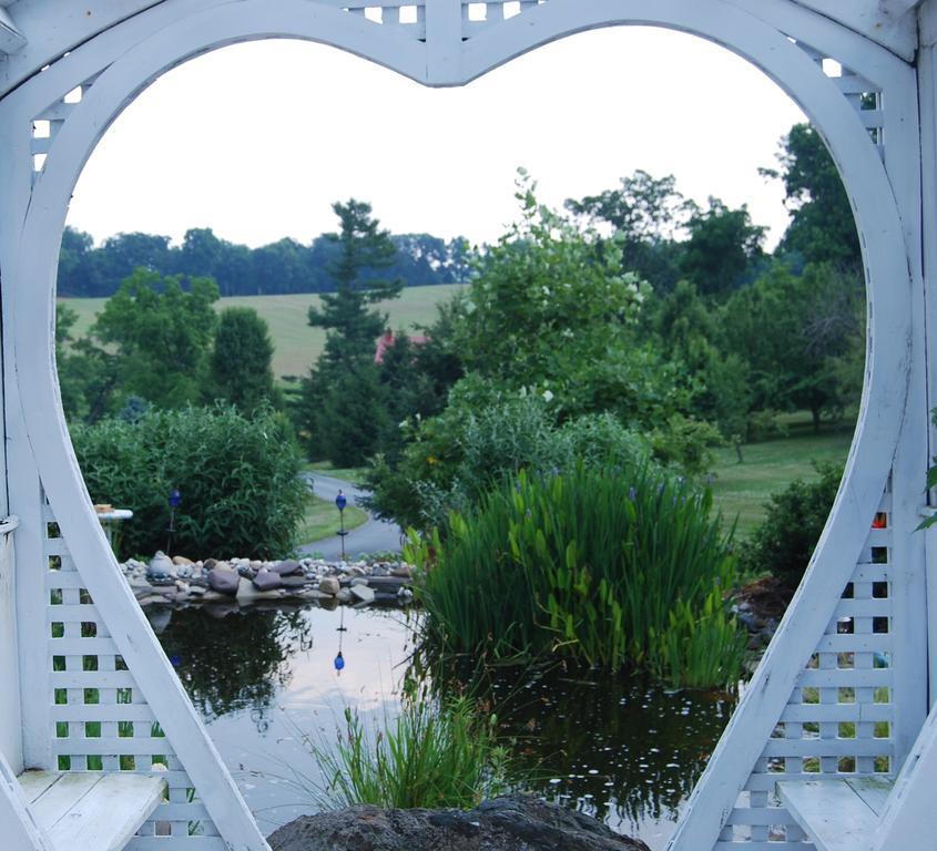 Berry Patch