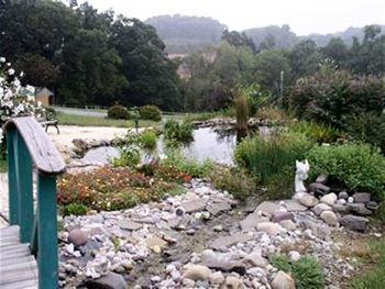 Berry Patch Bed & Breakfast